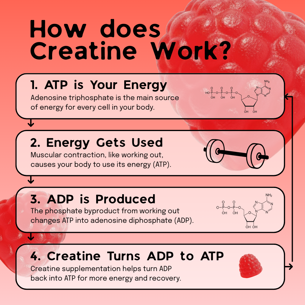 TinyTonics® Creatine Gummies